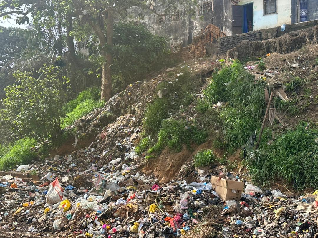 WhatsApp Image 2026-04-15